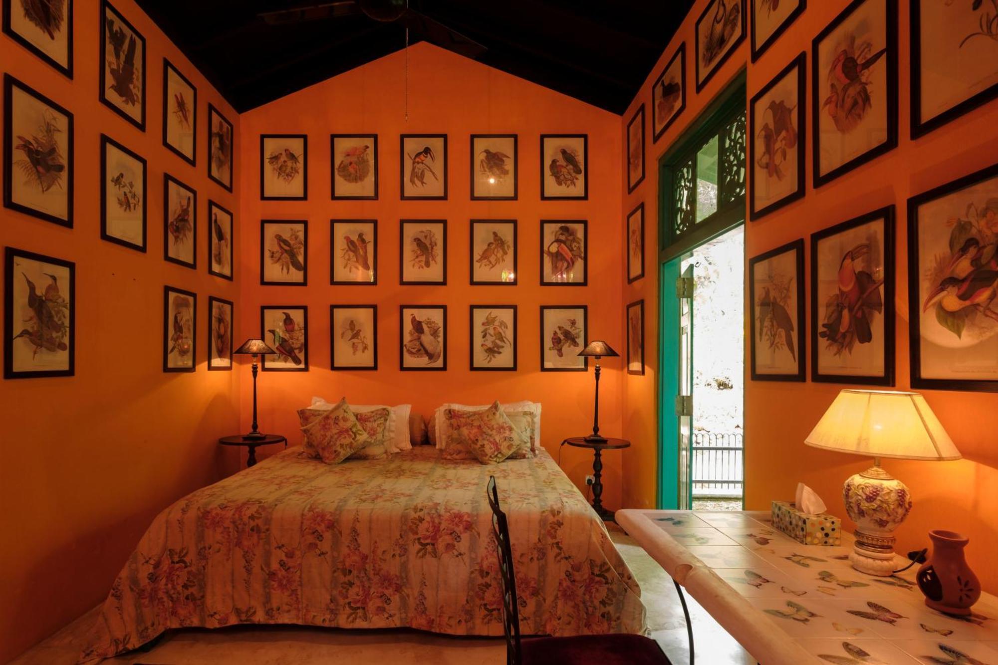 Hotel Casa Heliconia à Gampaha Extérieur photo